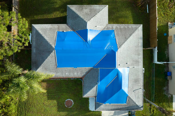 Best Metal Roofing Installation  in Casey, IL